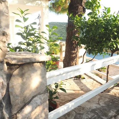 Roko * Neum